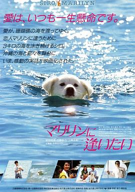 海报背景