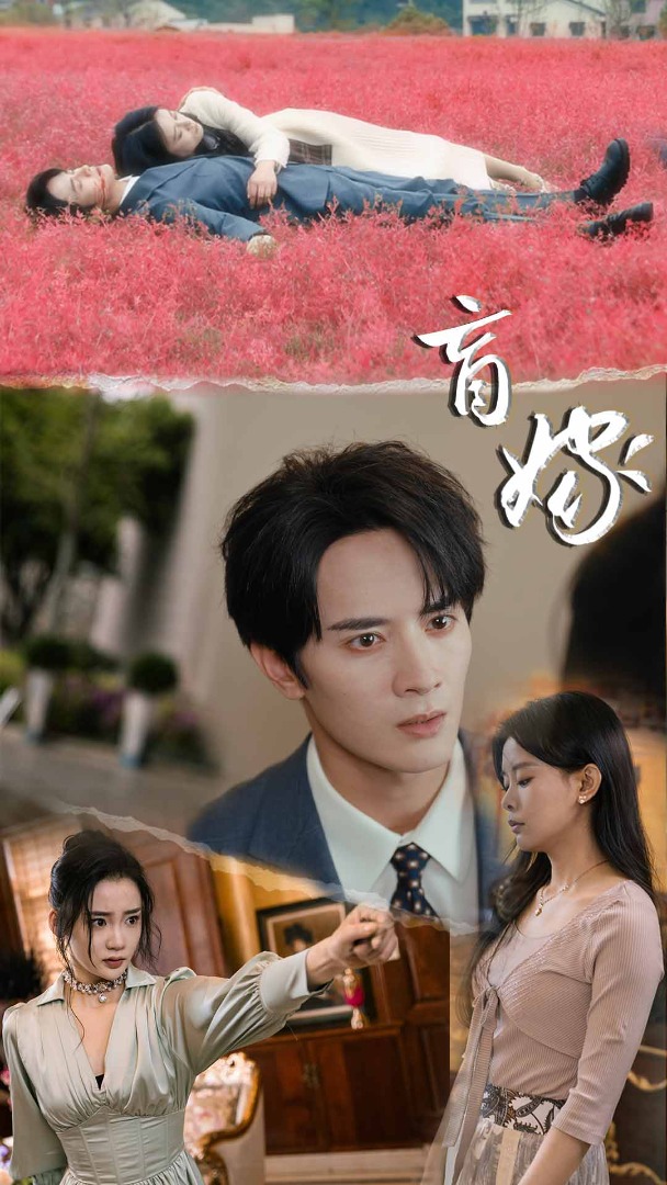 盲嫁,高清在线播放