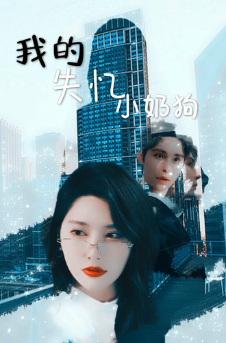 我的失忆小奶狗,高清在线播放