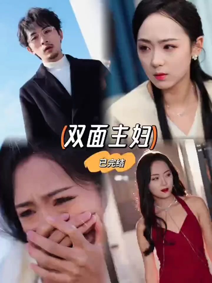 双面主妇,高清在线播放