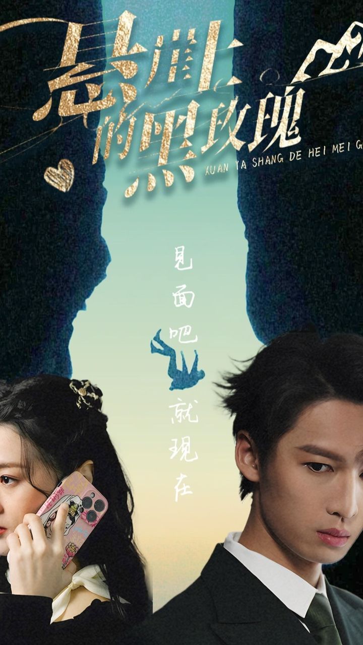 悬崖上的黑玫瑰,高清在线播放