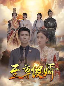 至尊傻婿,高清在线播放