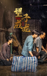 新版：望子成龙,高清在线播放