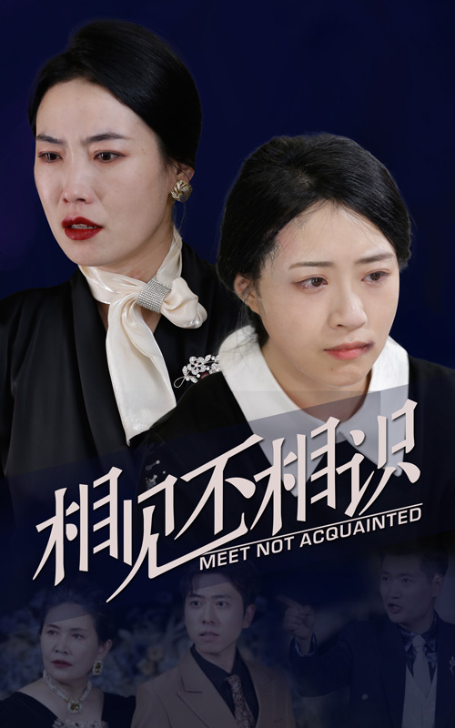 相见不相识,高清在线播放