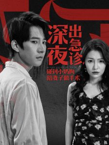 深夜出急诊碰到小奶狗陪妻子做手术,高清在线播放