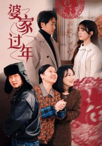 婆家过年,高清在线播放