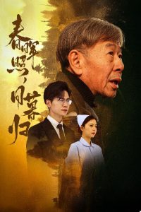 春晖照日暮归,高清在线播放