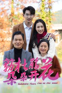 簕杜鹃花朵朵开,高清在线播放