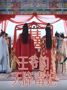 王爷的天降毒妃,高清在线播放