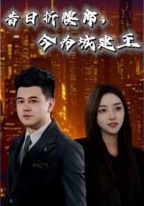 昔日折腰郎，今为城建王,高清在线播放
