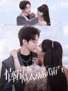 情陷于你，陆太太威武霸气,高清在线播放