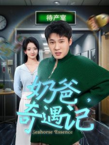 奶爸奇遇记,高清在线播放