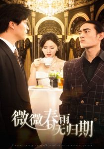 微微春雨无归期,高清在线播放
