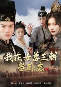 我在女尊王朝当卧底,高清在线播放