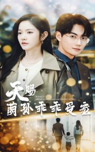 天赐萌孙乖乖受宠,高清在线播放