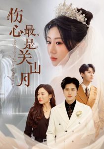 伤心最是关山月,高清在线播放