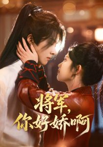 将军，你好娇啊,高清在线播放