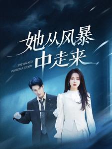 她从风暴中走来,高清在线播放