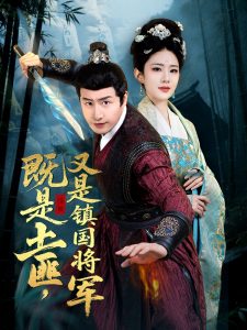 既是土匪，又是镇国将军,高清在线播放
