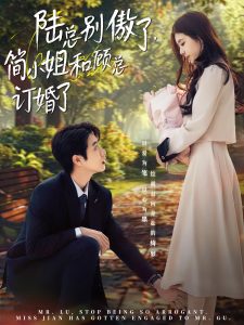 陆总别傲了，简小姐和顾总订婚了,高清在线播放
