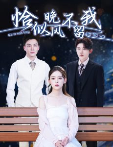 恰似晚风不留我＆弃他如风,高清在线播放