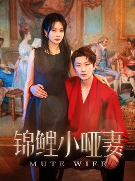锦鲤小哑妻,高清在线播放