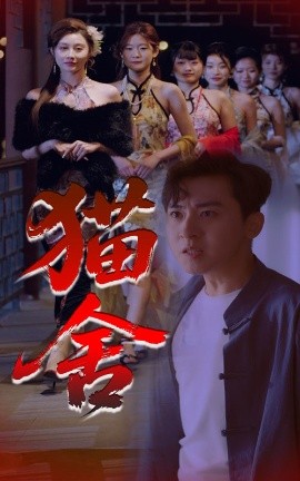 猫舍,高清在线播放