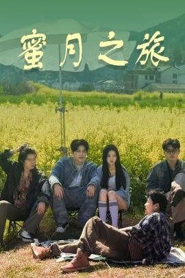蜜月之旅,高清在线播放