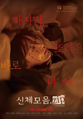 身体集合zip