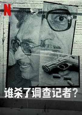 谁杀了调查记者封面图
