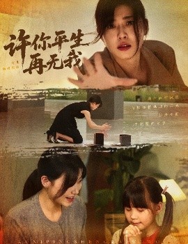 许你平生再无我的封面海报