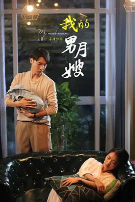 我的男月嫂的封面海报