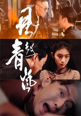 风起青岚的封面海报