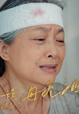 慈母无泪的封面海报