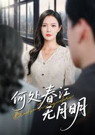 何处春江无月明的封面海报