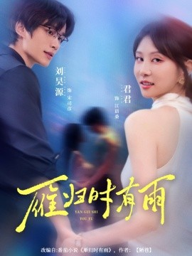 雁归时有雨的封面海报