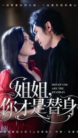 姐姐你才是替身的封面海报