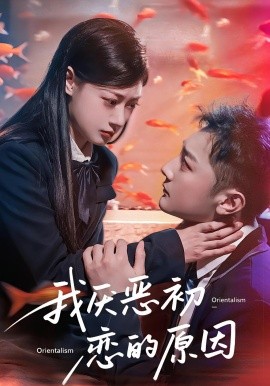 我厌恶初恋的原因的封面海报