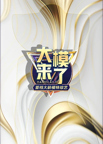 大模来了封面图