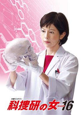 科搜研之女 第十六季