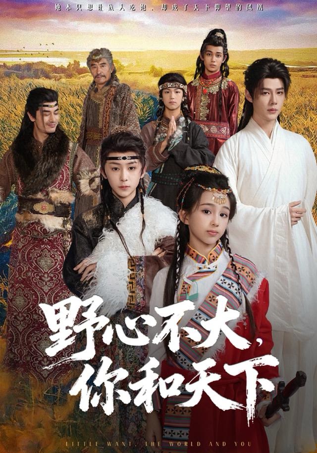 野心不大，你和天下封面图