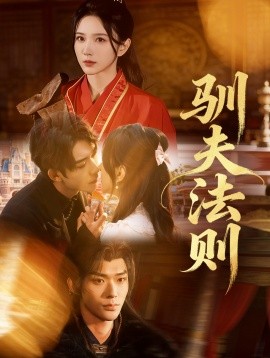 驯夫法则封面图