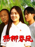 杨柳春风封面图