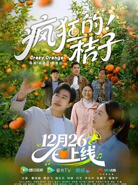 疯狂的桔子封面图