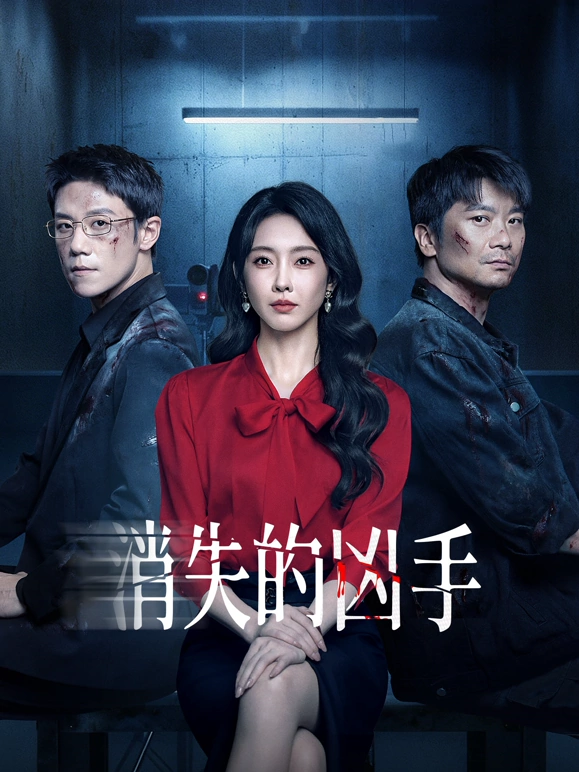 消失的凶手2025封面图