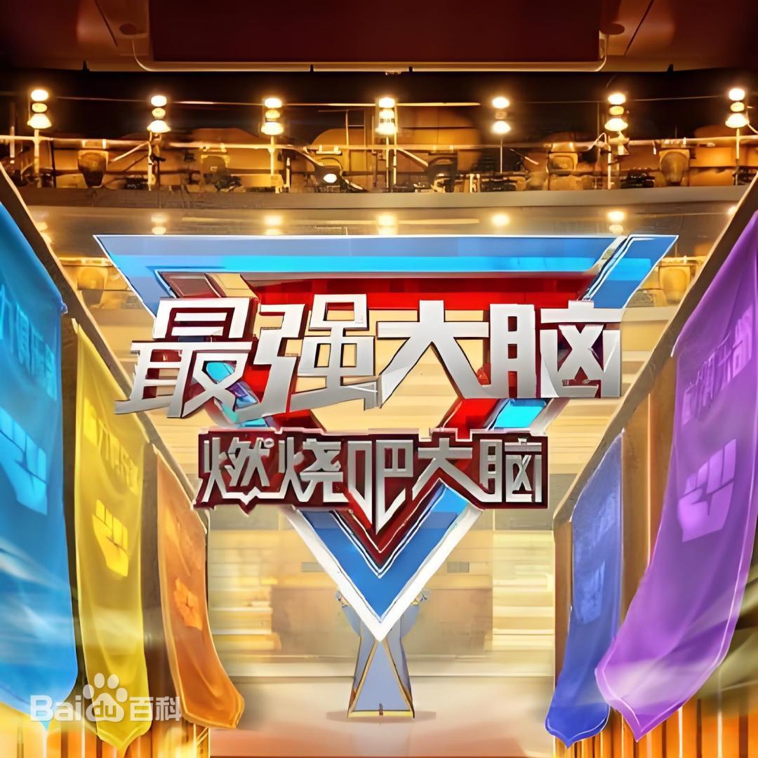 最强大脑 第十三季封面图