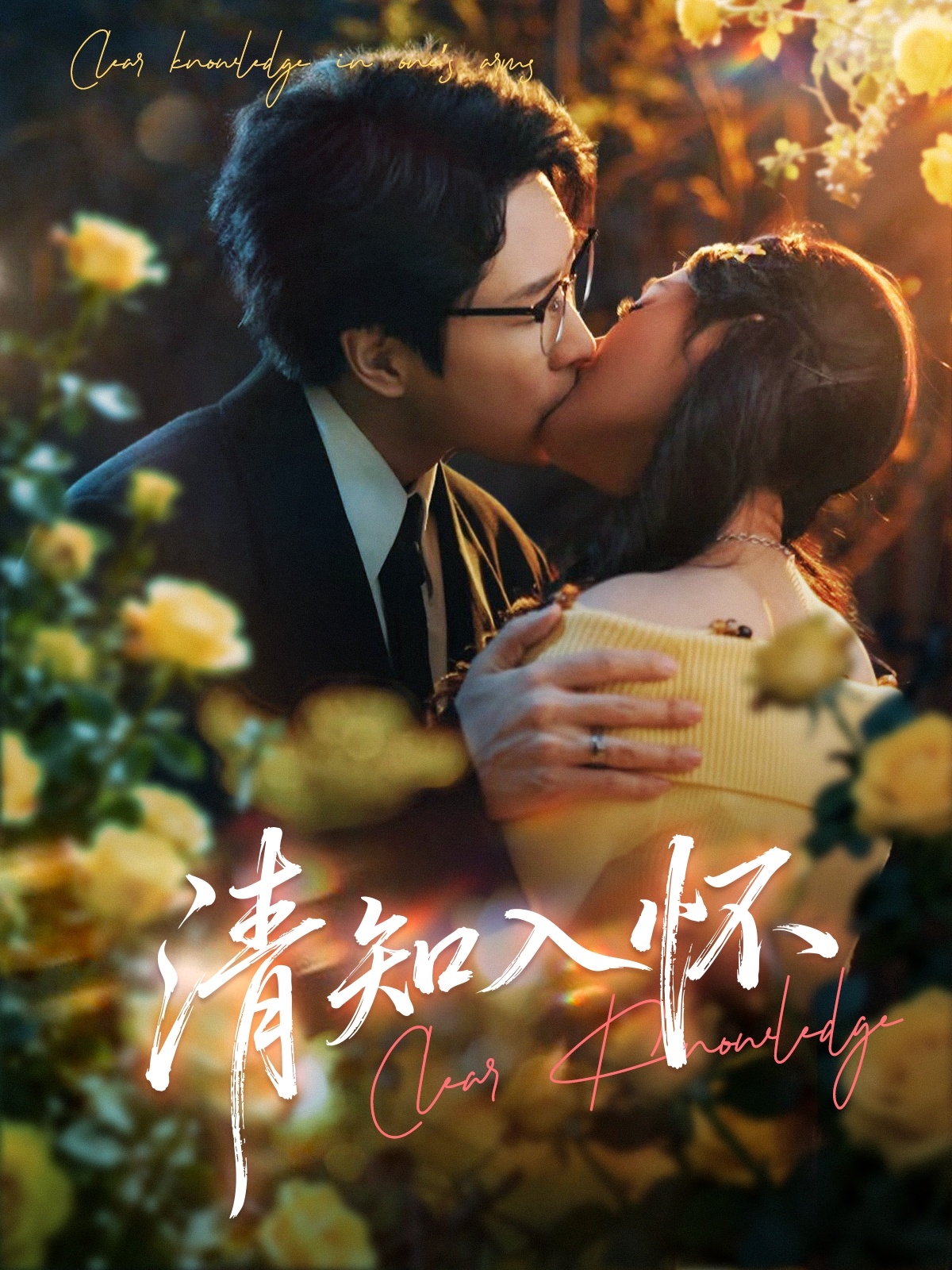 清知入怀封面图