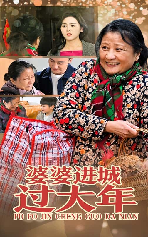 婆婆进城过大年封面图