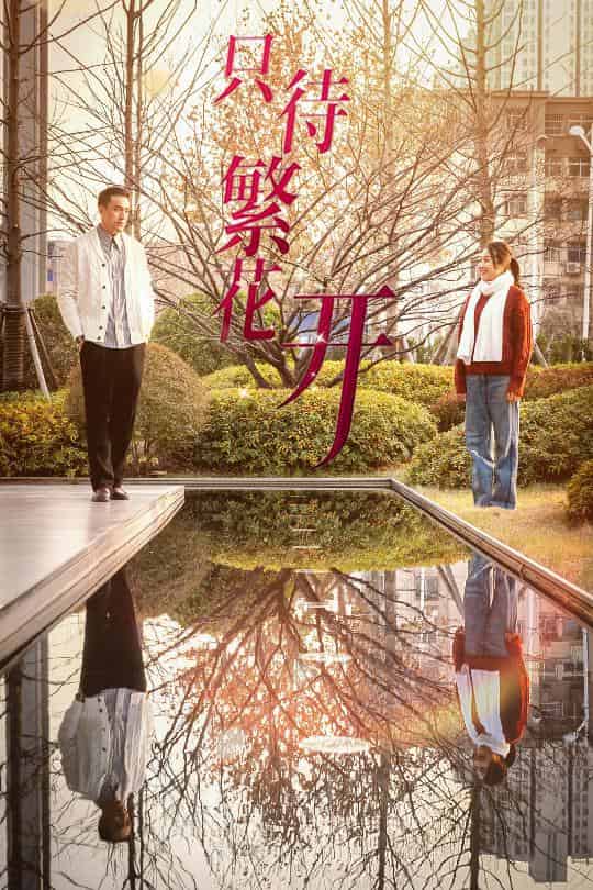 只待繁花开封面图