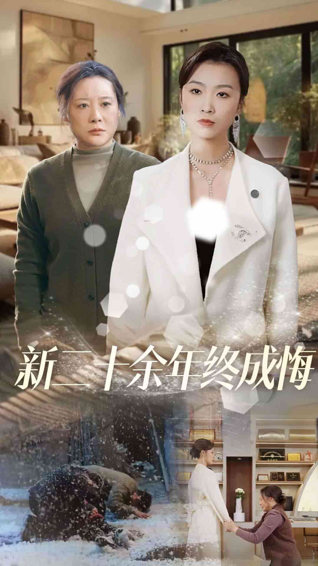 新二十余年终成悔封面图